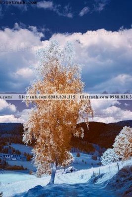 File tranh nhung buc tranh phong canh doc 624 (ảnh gốc) cho in ấn kỹ thuật số