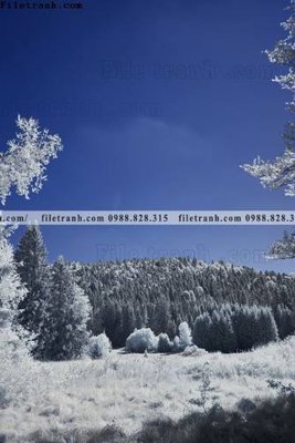 File PSD nhung buc tranh phong canh doc 625 (bản gốc) độ phân giải cao