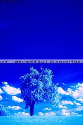 File tranh nhung buc tranh phong canh doc 627 (gốc) in film