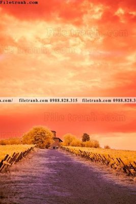 Download file nhung buc tranh phong canh doc 630 (gốc) in mica đèn LED