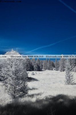 File gốc nhung buc tranh phong canh doc 639 (trang trí) phòng làm việc