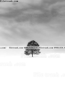 File gốc nhung buc tranh phong canh doc 665 (PNG) không nền chất lượng