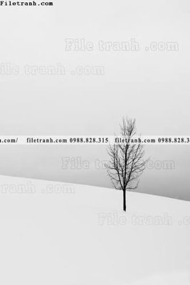 Tải file nhung buc tranh phong canh doc 671 (gốc) chủ đề hoa sen