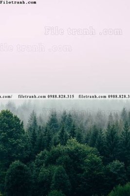 File gốc nhung buc tranh phong canh doc 685 (ảnh chi tiết) để in trần