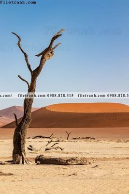 File in ấn nhung buc tranh phong canh doc 689 (bản gốc) từ file gốc