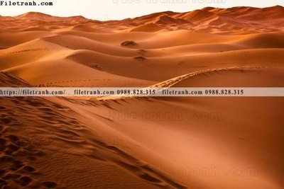 Tải về file tranh gốc nhung buc tranh phong canh ngang 542 (để in quảng cáo)