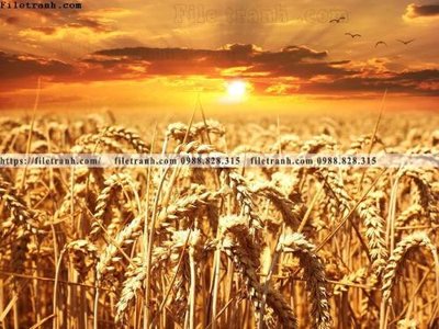 Download file nhung buc tranh phong canh ngang 646 (chuẩn in) chất lượng cao