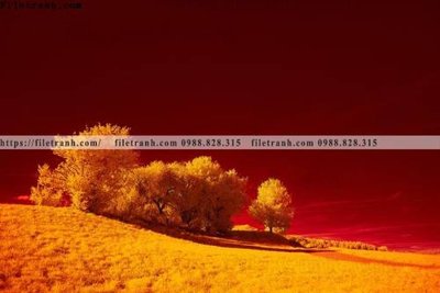 Tải file nhung buc tranh phong canh ngang 701 (gốc) chủ đề tôn giáo