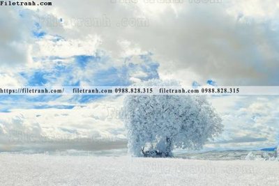 Tải file nhung buc tranh phong canh ngang 717 (ảnh gốc) file AI/EPS