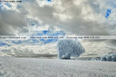 File in lụa nhung buc tranh phong canh ngang 722 (hoa văn) nhung buc tranh phong canh ngang 722