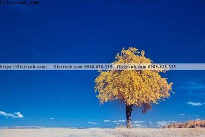 File gốc nhung buc tranh phong canh ngang 731 (in lụa) hoa văn cổ điển