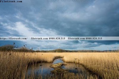 File tranh nhung buc tranh phong canh ngang 740 (ảnh gốc) độc quyền