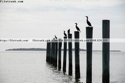 Tải về file gốc nhung buc tranh phong canh ngang 749 (dùng cho in quảng cáo)