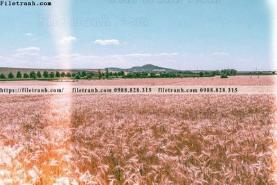 Tải file gốc nhung buc tranh phong canh ngang 774 (bản PSD) gốc