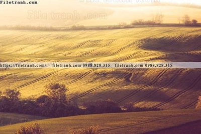 Tải file tranh nhung buc tranh phong canh ngang 786 (gốc) tại Filetranh.com