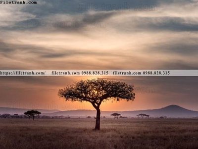 File gốc nhung buc tranh phong canh ngang 792 (in ấn) màu sắc trung thực