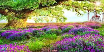 File tranh File gốc phong cảnh PC115 (gốc) in trên kính