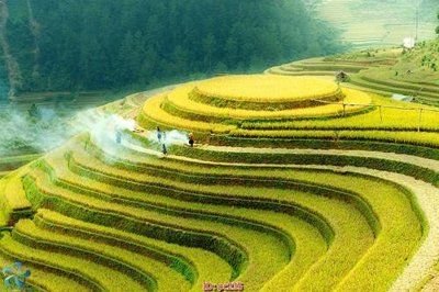 File gốc File gốc phong cảnh PC235 (ảnh rõ nét) để in