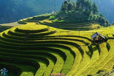 File gốc File gốc phong cảnh PC239 (ảnh chi tiết) để in trần