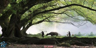 Tải file gốc File gốc phong cảnh PC288 (bản PSD) còn layer