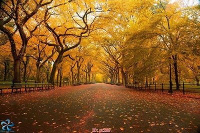 File gốc File gốc phong cảnh PC289 (thiết kế) độc quyền