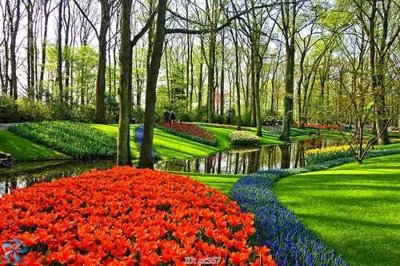 File tranh File gốc phong cảnh PC357 (ảnh gốc) không bị mờ