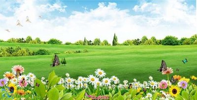 Tải file File gốc phong cảnh PC592 (gốc) làm file quảng cáo