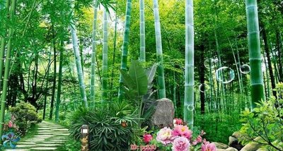 File gốc File gốc phong cảnh PC630 (in mica) làm quà tặng