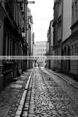 File in ấn cao cấp phien ban doc cua duong pho 133 (file gốc)