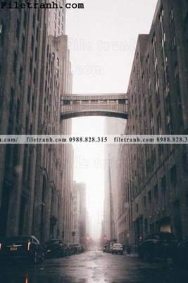 Tải file phien ban doc cua duong pho 194 (gốc) làm file in ấn