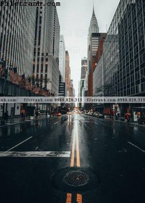 File tranh phien ban doc cua duong pho 207 (ảnh gốc) in trần nhà