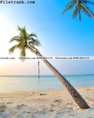 File PSD phien ban doc cua phong canh cay co dua 106 (bản gốc) độ phân giải cao