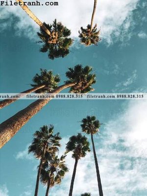 File ảnh gốc phien ban doc cua phong canh cay co dua 148 không vỡ nét