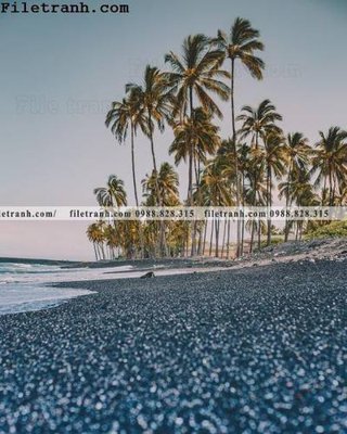 File gốc phien ban doc cua phong canh cay co dua 156 (Filetranh.com) phien ban doc cua phong canh cay co dua 156