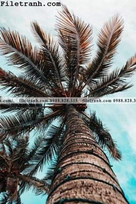 File tranh gốc in trần nhà phien ban doc cua phong canh cay co dua 163 3D