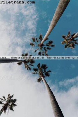 Download file gốc phien ban doc cua phong canh cay co dua 177 (dùng cho in ấn)