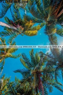 Tải file PSD phien ban doc cua phong canh cay co dua 188 (nguyên layer) để in