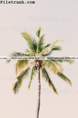 File ảnh phien ban doc cua phong canh cay co dua 190 (gốc) in quảng cáo ngoài trời