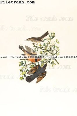 File gốc phong cach My minh hoa co dien 105 (in 3D) nghệ thuật