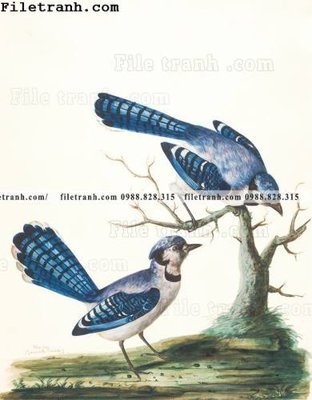 File gốc phong cach My minh hoa co dien 121 (in lụa) cao cấp