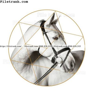 File in trần phong cach Trung Quoc moi nhe nhang pha le 227 (bản gốc) trời sao