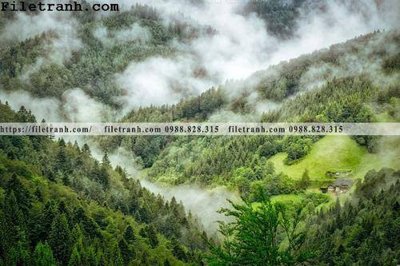 File in ấn phong canh cay rung ngang 114 (bản gốc) chất lượng cao