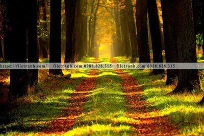 File gốc phong canh cay rung ngang 130 (ảnh chi tiết) để in ấn