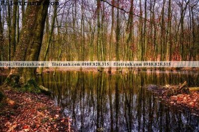 File tranh phong canh cay rung ngang 146 (gốc) in vải canvas