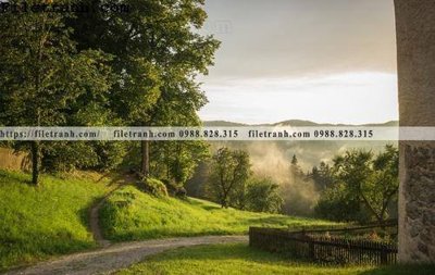 File gốc phong canh cay rung ngang 164 (phong cách) châu Âu