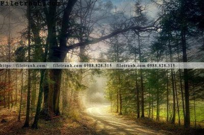 File ảnh phong canh cay rung ngang 179 (gốc) in biển hiệu