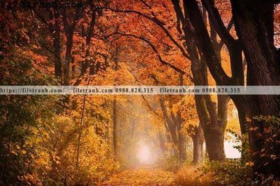 File gốc phong canh cay rung ngang 194 (ảnh rõ nét) để in