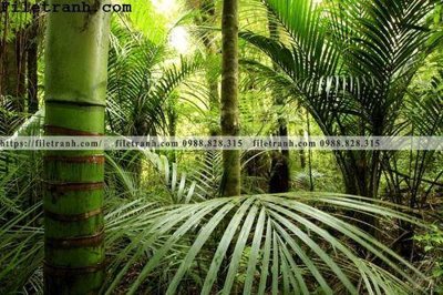 Download file gốc phong canh cay rung ngang 261 (in mica) trang trí