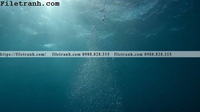 File gốc phong canh dai duong 108 (AI/EPS) cho in ấn