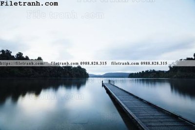 File in ấn phong canh dai duong 120 (bản gốc) chất lượng cao